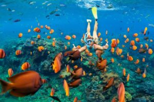 oferte mauritius