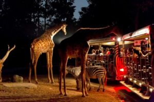oferte safari si plaja tanzania