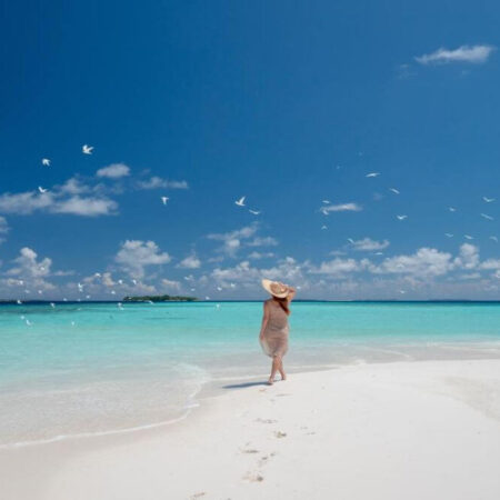 Royal Island Resort & Spa 5*, Maldive