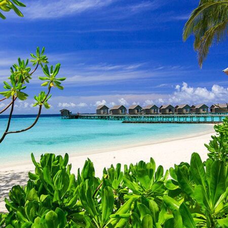 Centara Ras Fushi Resort & Spa 5*, Maldive - adults only